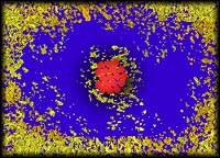 Virus visto en un microscopio